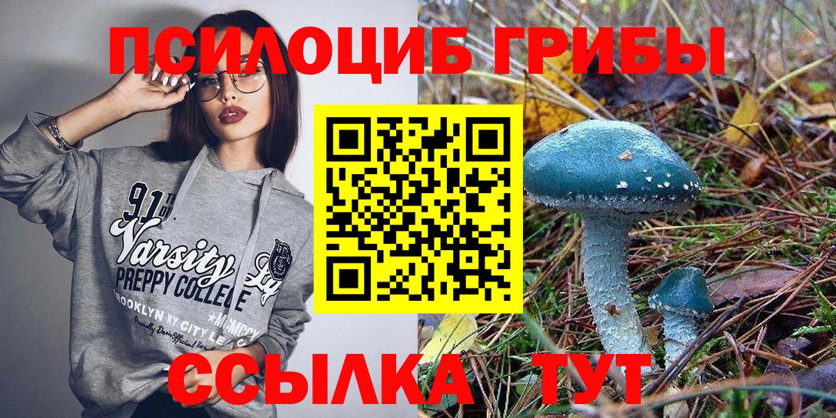 Северск  Псилоцибиновые грибы прущие грибы  Галлюциногенные грибы Magic Shrooms  Вход с VPN 